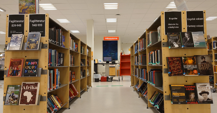 bokhyller på Bjørkelangem