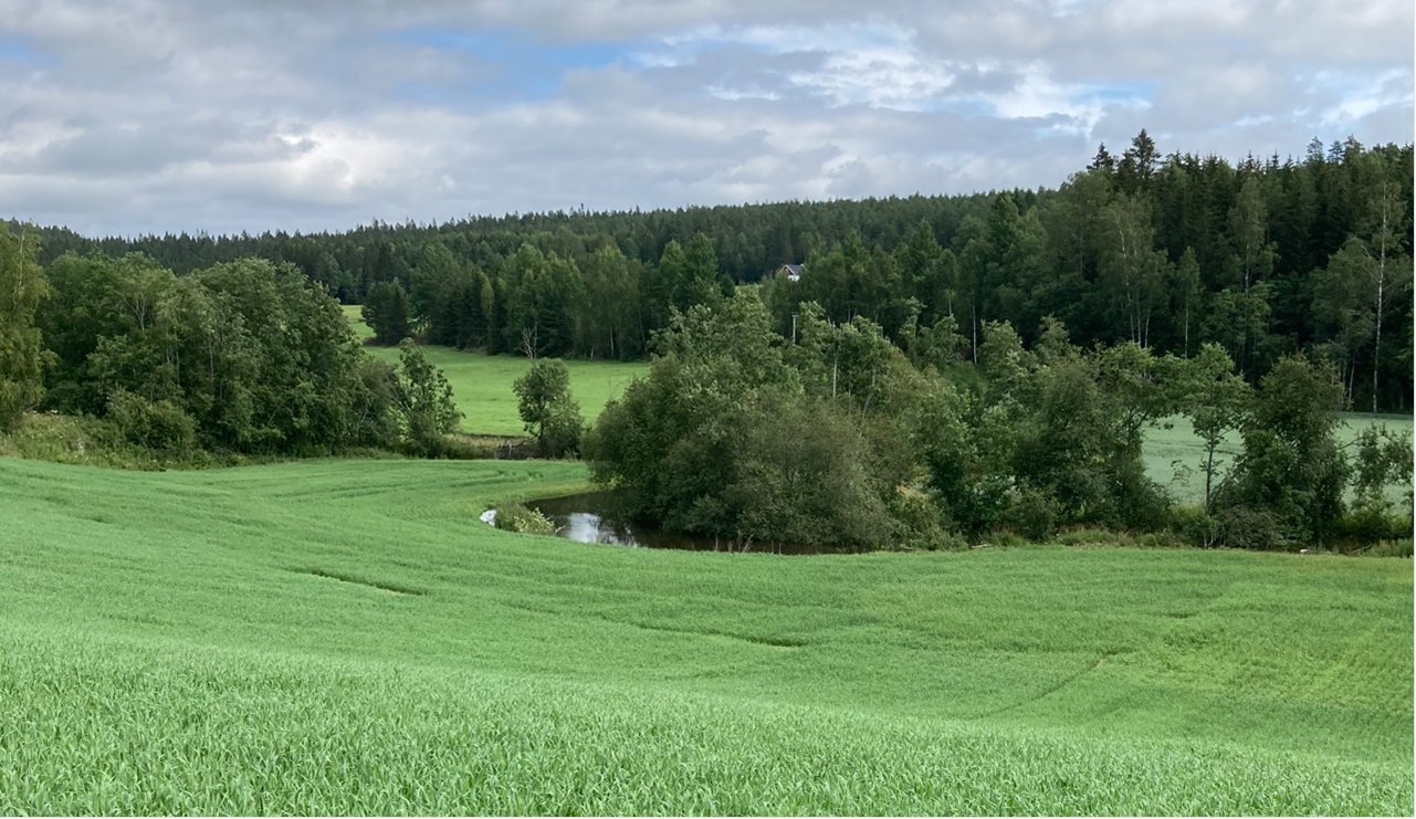 Slyngende elv om sommeren